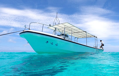 ラッセン(コーラル　コーブ) Women's Waterproof Coral Sneakers | Clove