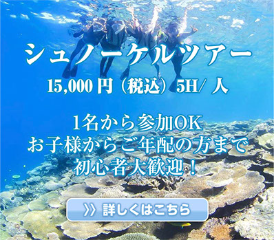 ラッセン(コーラル　コーブ) Women's Waterproof Coral Sneakers | Clove